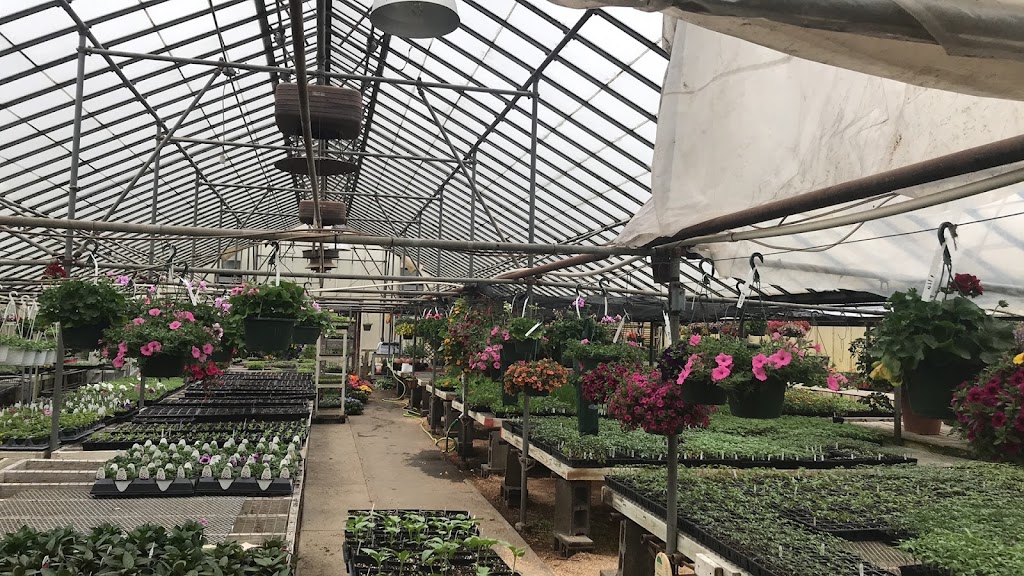 Anthony Petitti Organic Greenhouse | 5828 Columbus Rd NE, Louisville, OH 44641, USA | Phone: (330) 455-5997