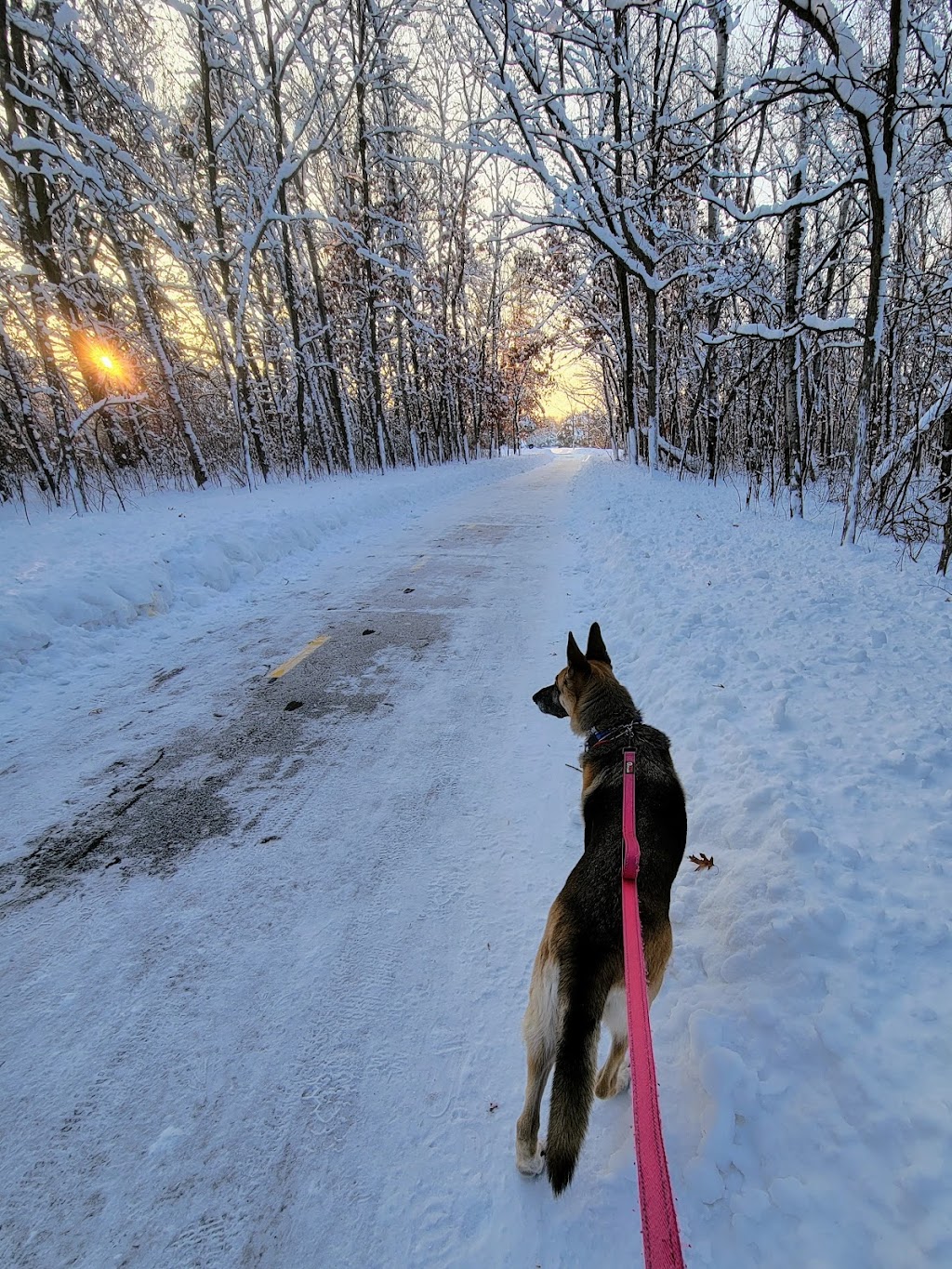 Rush Creek Regional Trail- Trailhead | West River Rd & Coon Rapids Dam, Brooklyn Park, MN 55444, USA | Phone: (763) 559-9000