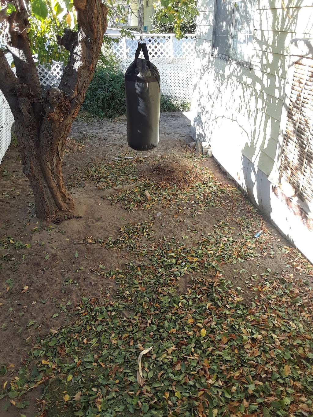 Californian Mobile Home Park | 1150 N Kirby St, Hemet, CA 92545, USA | Phone: (951) 925-5708