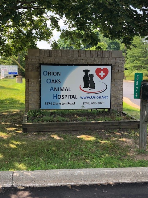 Orion oaks animal hospital | 3574 Clarkston Rd, City of the Village of Clarkston, MI 48348, USA | Phone: (248) 693-1025