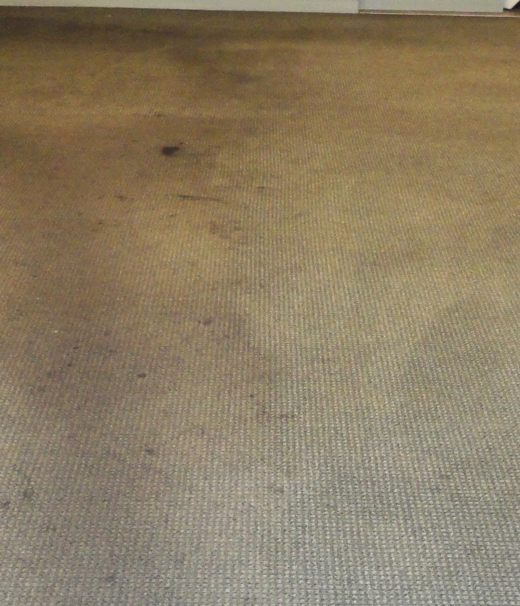 AMS Carpet Cleaning, LLC | 590 Albion Rd, Edgerton, WI 53534 | Phone: (920) 723-1188