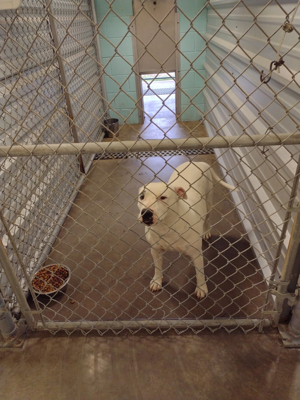 City of Alvarados Animal Control | 602 S Pkwy Dr, Alvarado, TX 76009, USA | Phone: (817) 790-0910