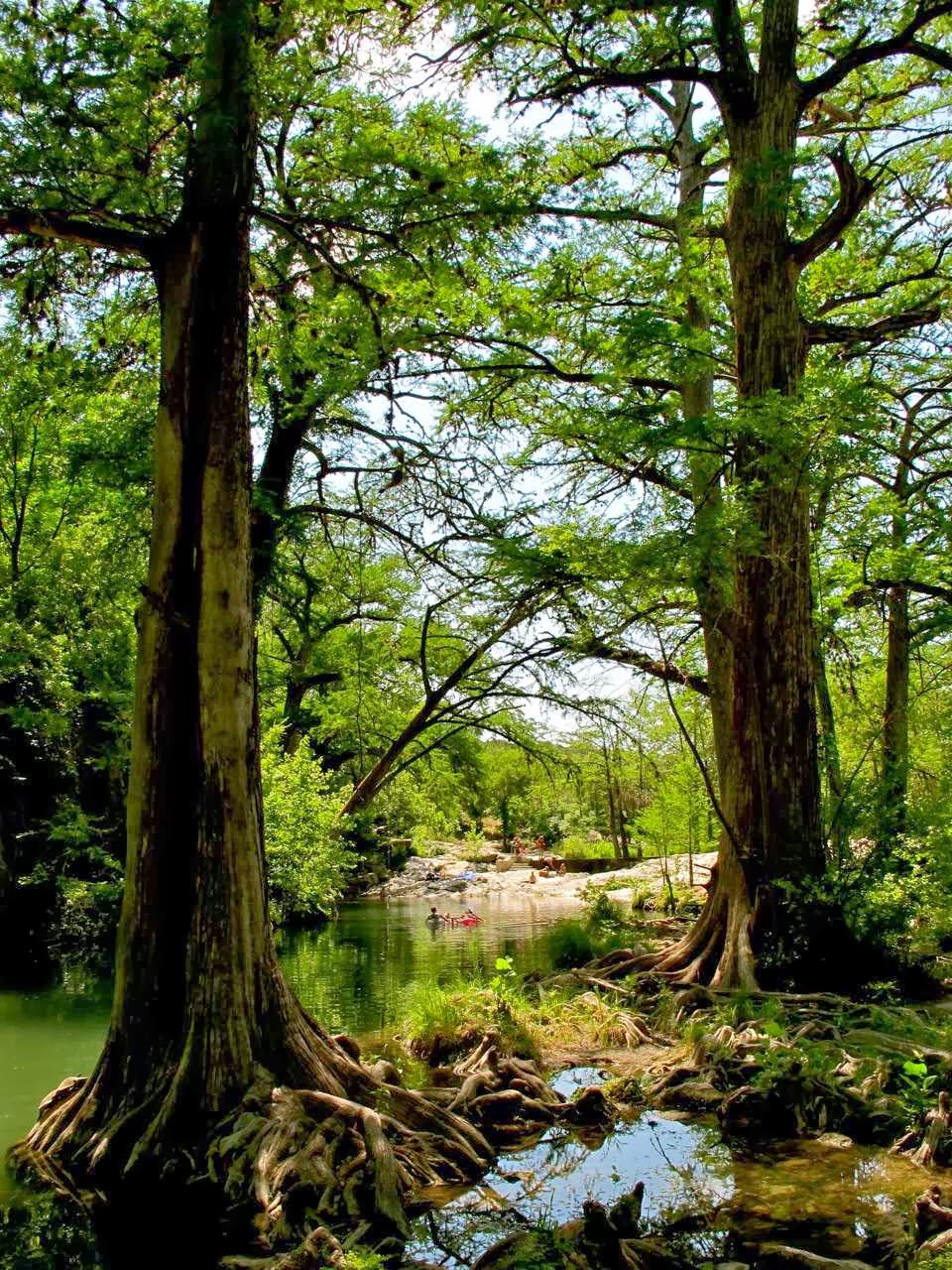 Krause Springs | 424 Co Rd 404, Spicewood, TX 78669, USA | Phone: (401) 236-7554