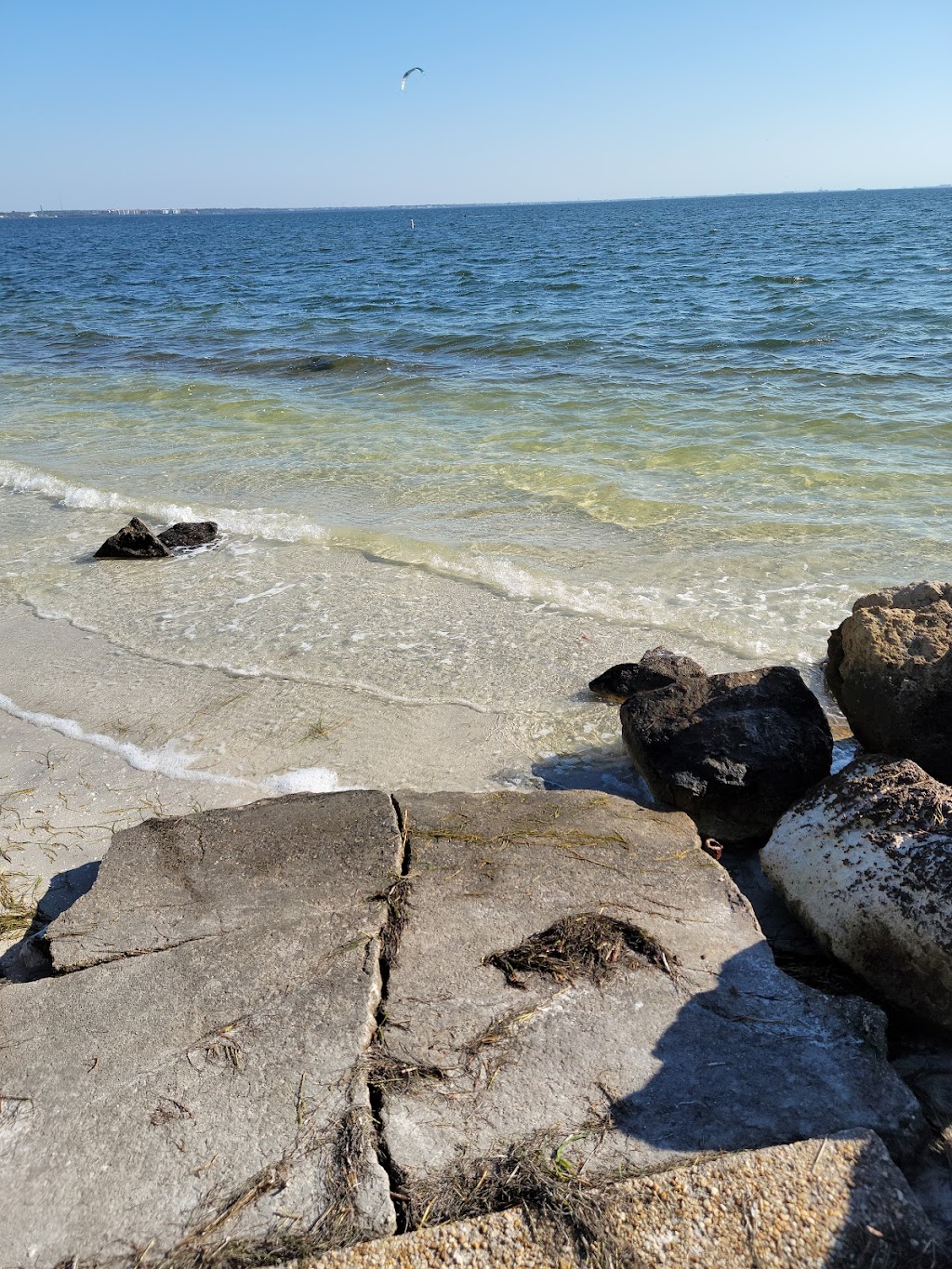 Wheel Fun Rentals | Fred Howard Park | 1700 Sunset Dr, Tarpon Springs, FL 34689, USA | Phone: (833) 787-7397
