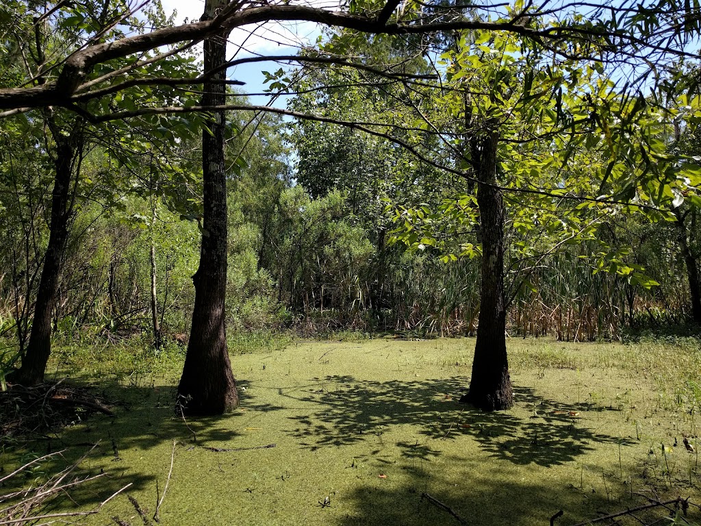 Maurepas Swamp Wildlife Management Area Nature Trail | Laplace, LA 70068, USA | Phone: (504) 858-6270