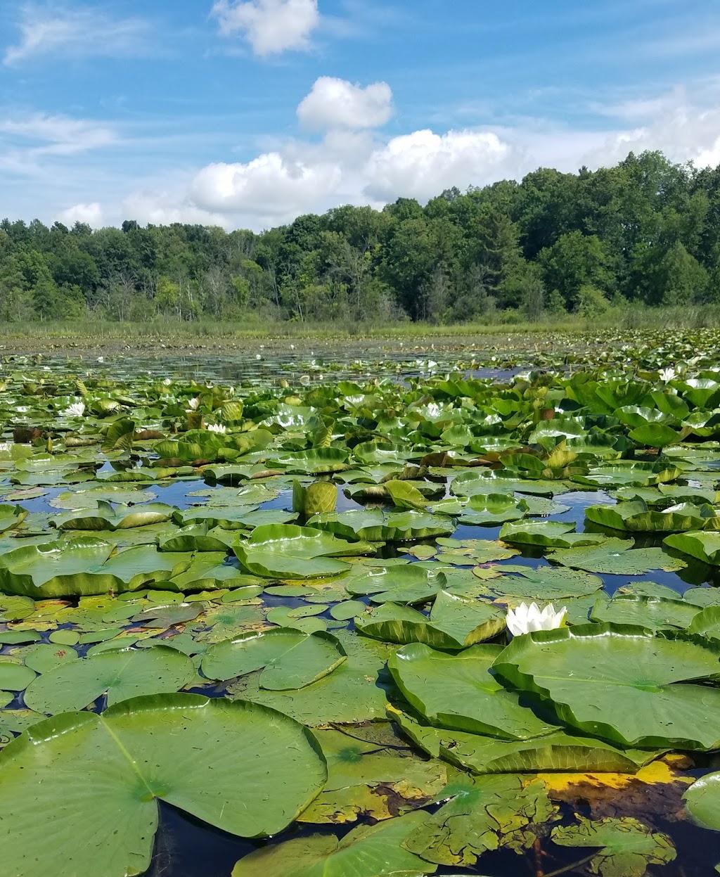 Friends of Lac Lawrann Conservancy | 300 Schmidt Rd, West Bend, WI 53090, USA | Phone: (262) 335-5080