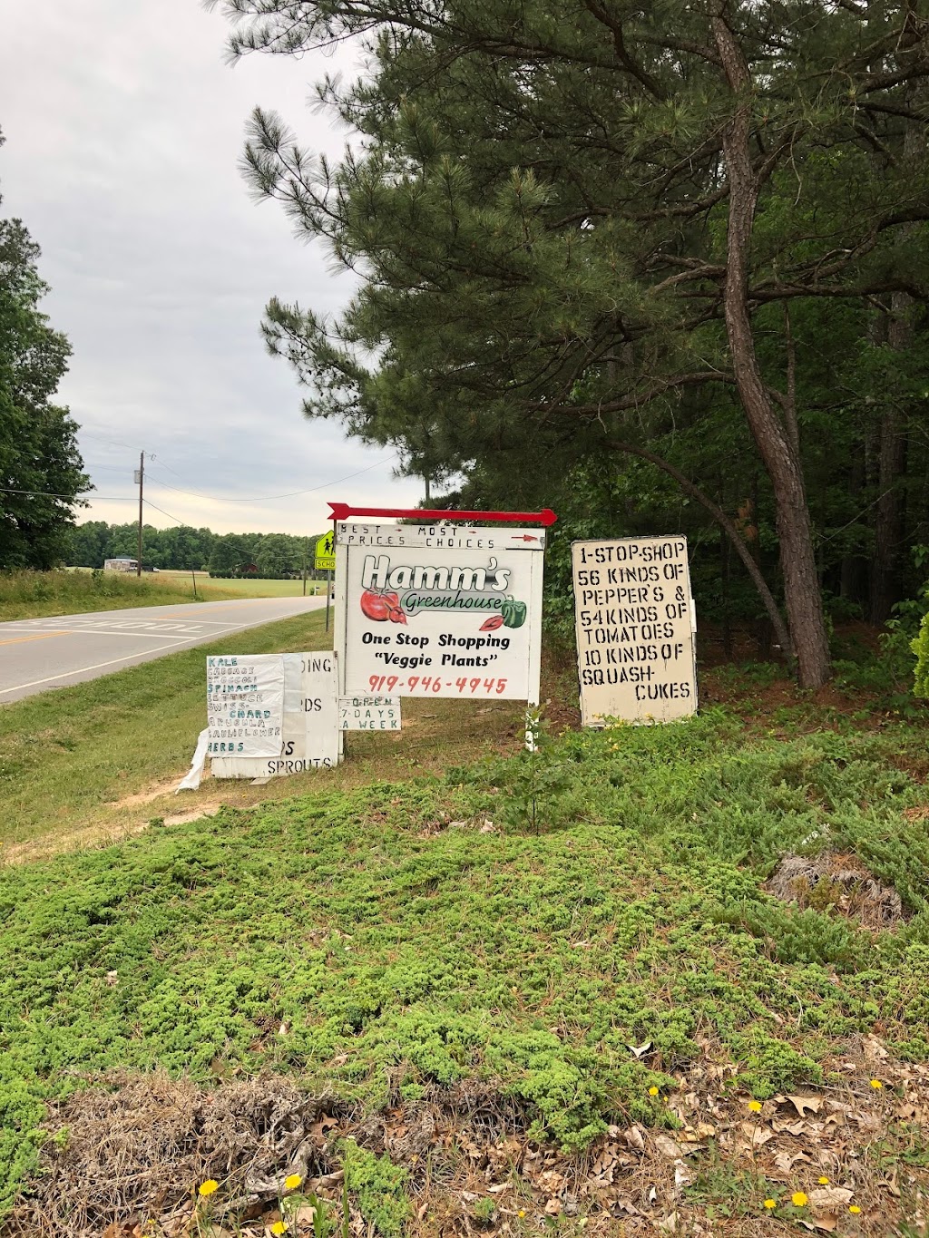 Hamms Greenhouse | 136 Flat Rock Church Rd, Louisburg, NC 27549, USA | Phone: (919) 946-4945