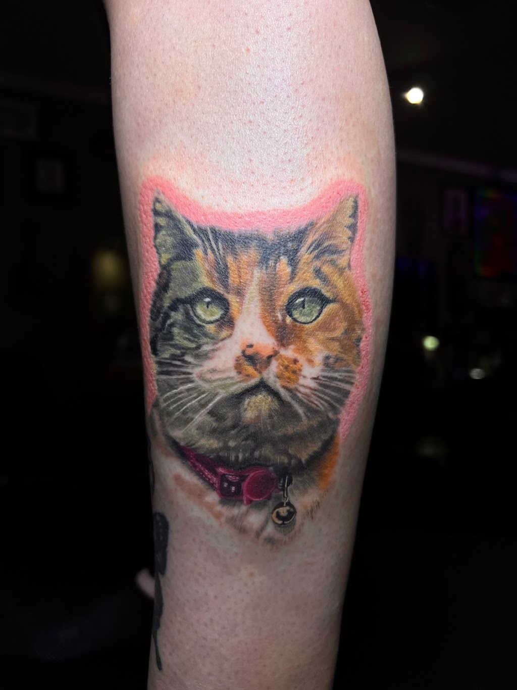 Kustom Kulture Tattoo Studio | 6757 Tampa Ave, Reseda, CA 91335, USA | Phone: (818) 343-8288