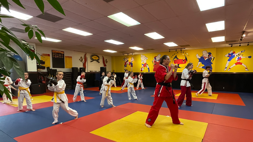 Ernie Reyes World Martial Arts | 327 Hancock St, Gallatin, TN 37066, USA | Phone: (615) 230-9658