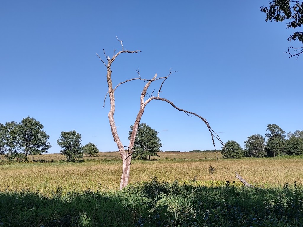 Sherburne National Wildlife Refuge | 17076 293rd Ave NW, Zimmerman, MN 55398, USA | Phone: (763) 389-3323