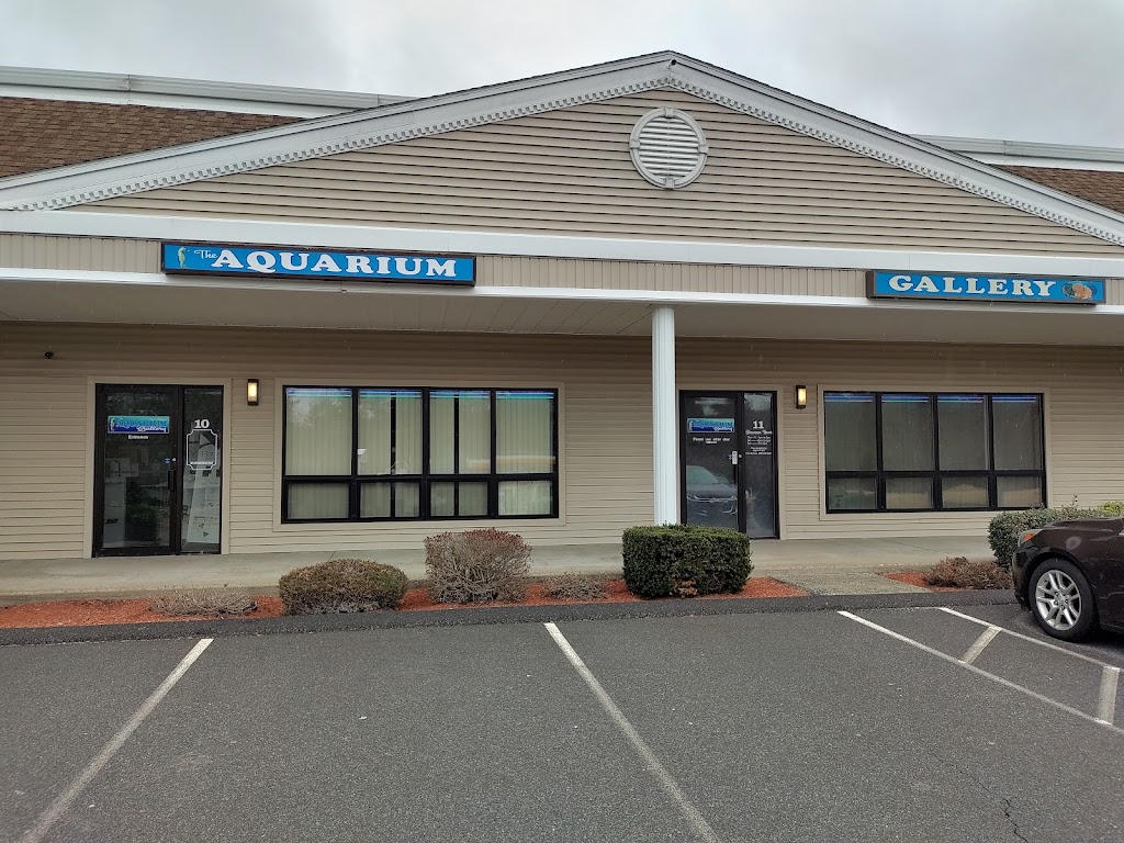 The Aquarium Gallery | 60 Rockingham Road suites 10 & 11, Windham, NH 03087, USA | Phone: (603) 759-1639