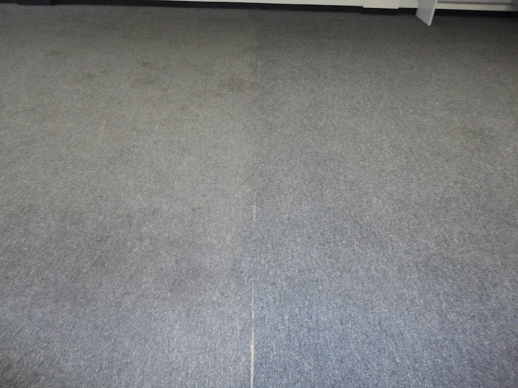 AMS Carpet Cleaning, LLC | 590 Albion Rd, Edgerton, WI 53534, USA | Phone: (920) 723-1188