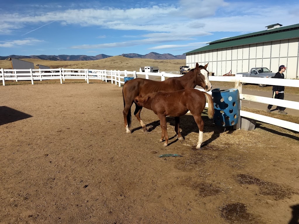 Zumas Rescue Ranch | 7745 N Moore Rd, Littleton, CO 80125, USA | Phone: (303) 346-7493