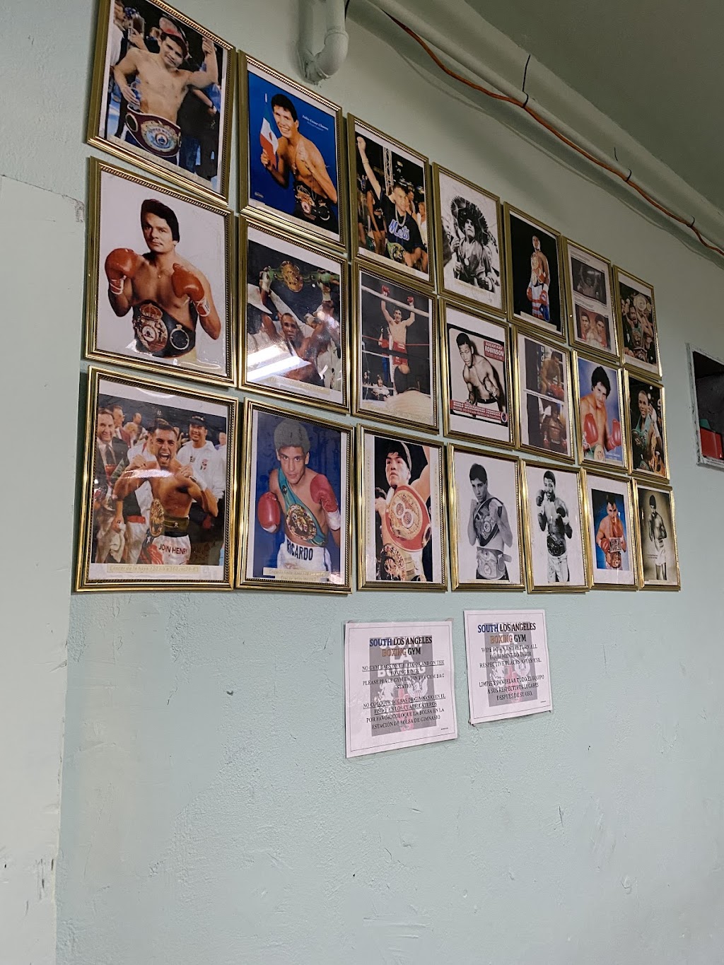 South L.A. Boxing Gym | 5139 S Main St, Los Angeles, CA 90037, USA | Phone: (323) 613-5366