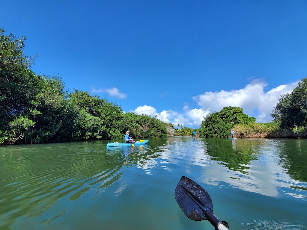 Coastal Kayak Tours | 62-207 Kawailoa Dr, Haleiwa, HI 96712, USA | Phone: (808) 234-4047