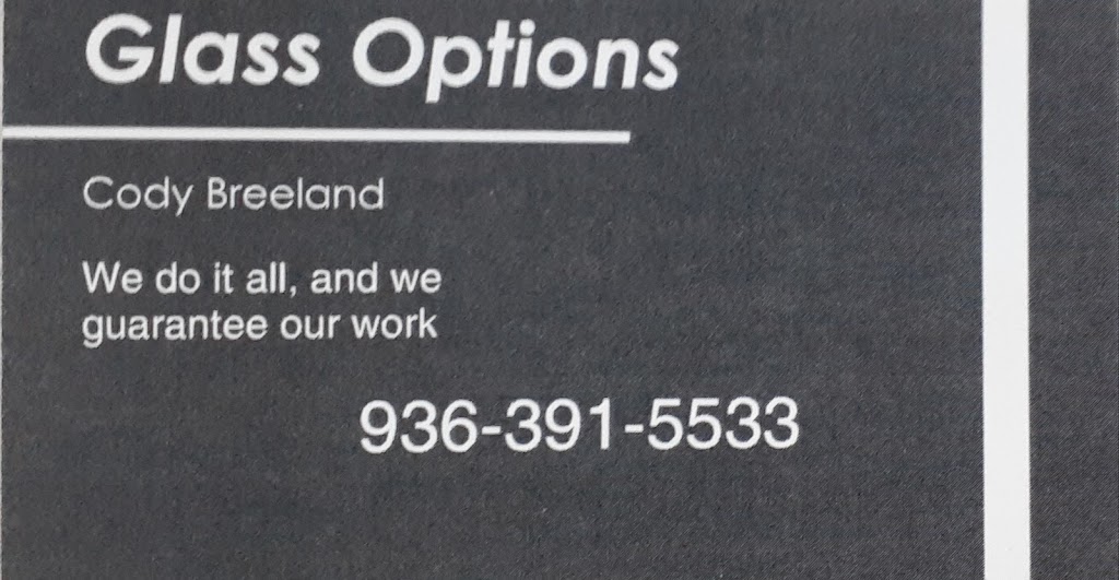 Glass Options | 1014 County Rd 470, Dayton, TX 77535, USA | Phone: (936) 391-5533