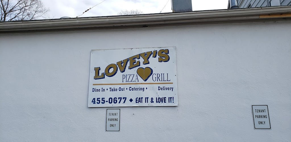 Loveys Pizza & Grill | 91 W Hanover Ave, Morris Plains, NJ 07950, USA | Phone: (973) 455-0677