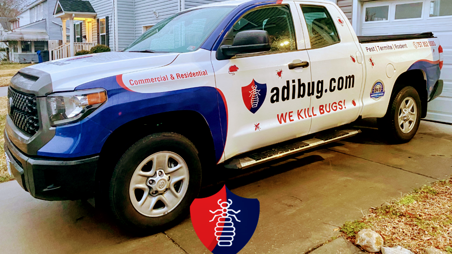 adibug | 33 Alden Ave, Portsmouth, VA 23702, USA | Phone: (757) 852-0085