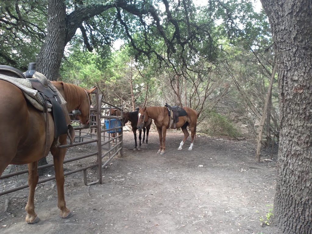 Stricker Trail Rides | 324 Wild Turkey Blvd, Boerne, TX 78006, USA | Phone: (210) 508-9349