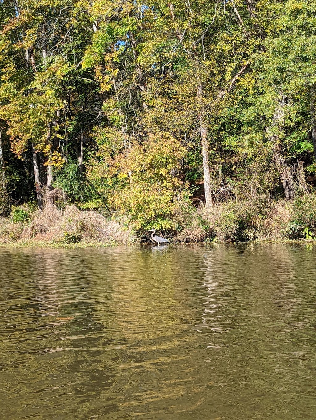 The Haw River Canoe & Kayak Company | 6079 Swepsonville-Saxapahaw Rd, Graham, NC 27253, USA | Phone: (336) 260-6465