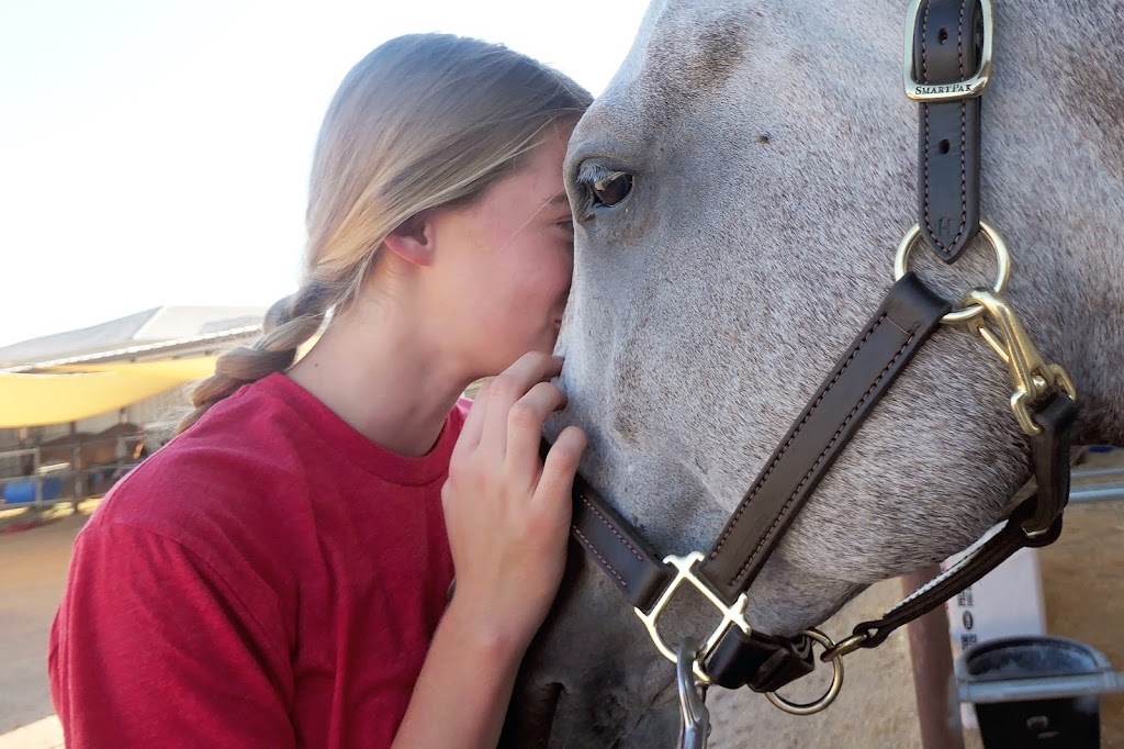 Alma Linda Ranch | 28437 N 58th St, Cave Creek, AZ 85331, USA | Phone: (480) 567-9763