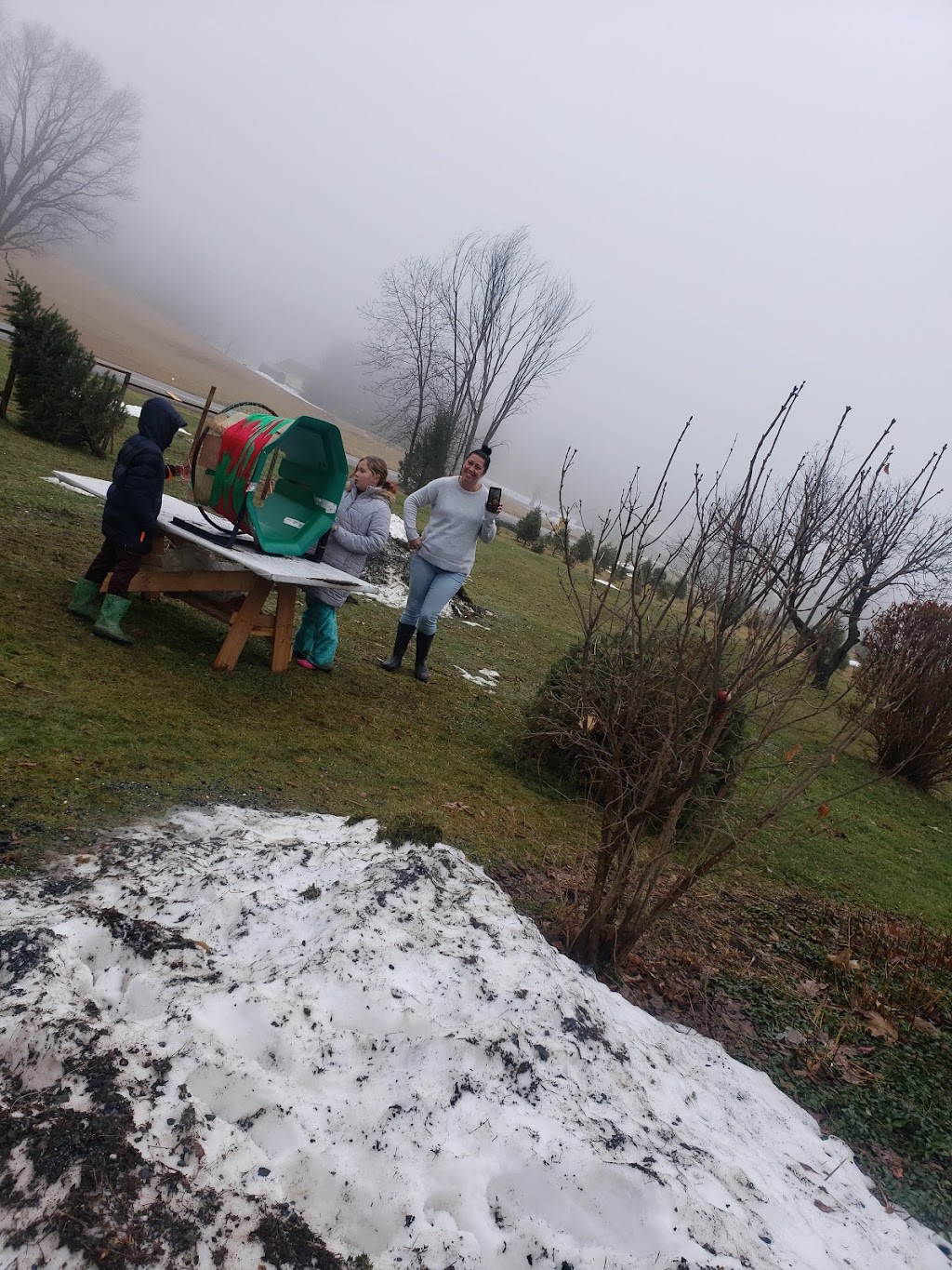 Morins Tree Farm | 635 Groveside Rd, Buskirk, NY 12028, USA | Phone: (518) 275-8501