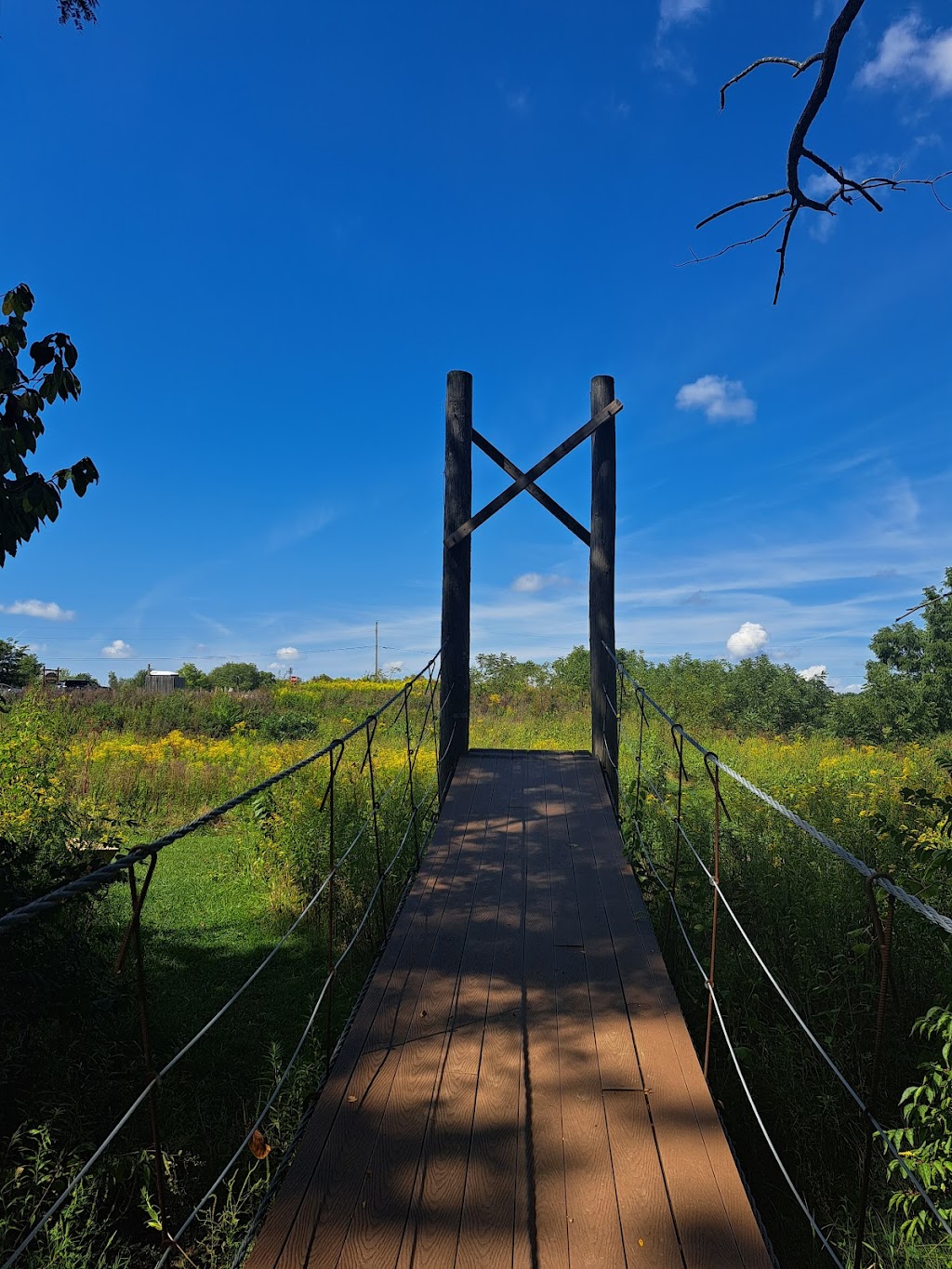 Thornwood Nature Preserve | 1597 S Morristown Pike, Greenfield, IN 46140, USA | Phone: (317) 477-4340