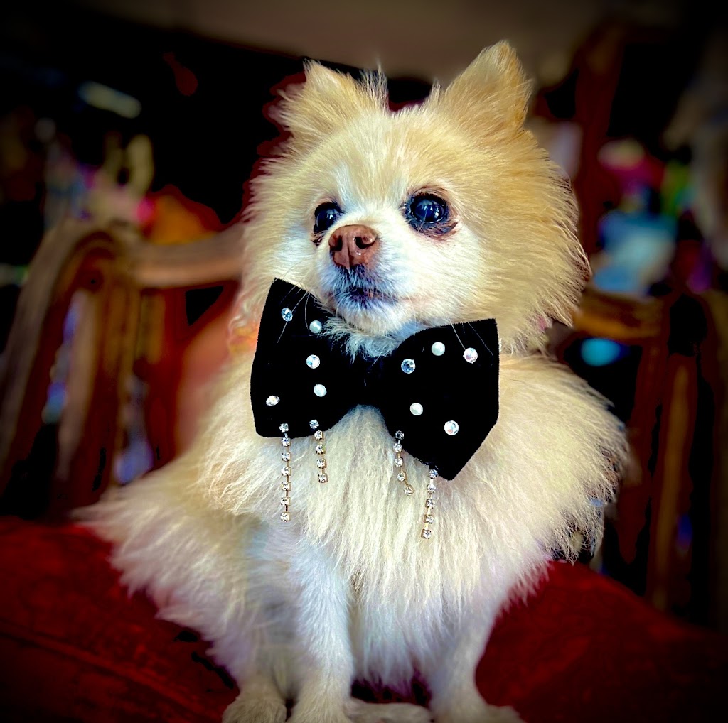 FurKids Boutique | 11862 S Prairie Ave Unit A, Hawthorne, CA 90250, USA | Phone: (310) 651-0267 FurKids Boutique | 11862 S Prairie Ave Unit A, Hawthorne, CA 90250, USA | Phone: (310) 651-0267
