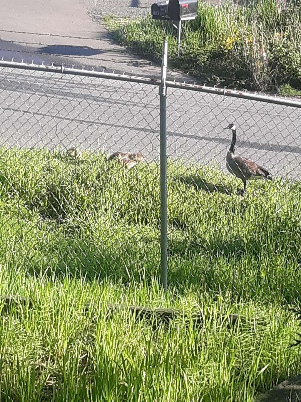 PARR Truss Woodinville | 5910 234th St SE, Woodinville, WA 98072, USA | Phone: (425) 481-0900