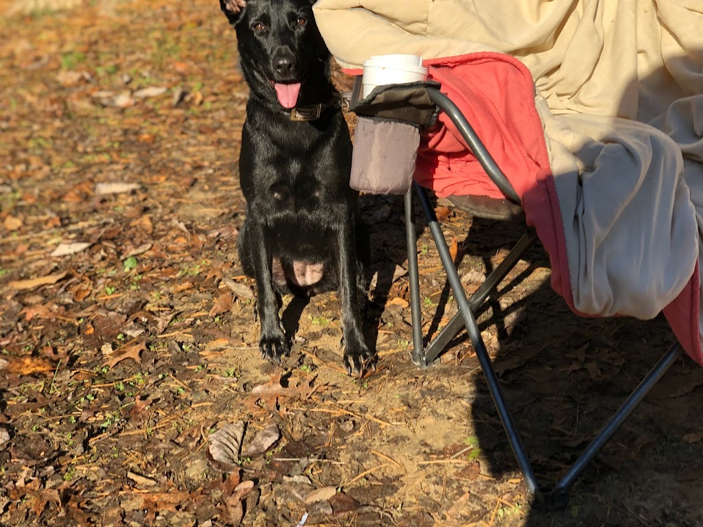 Sunset Park Campground | 1070 Sunset Park Rd, Walnut Cove, NC 27052, USA | Phone: (336) 593-2992