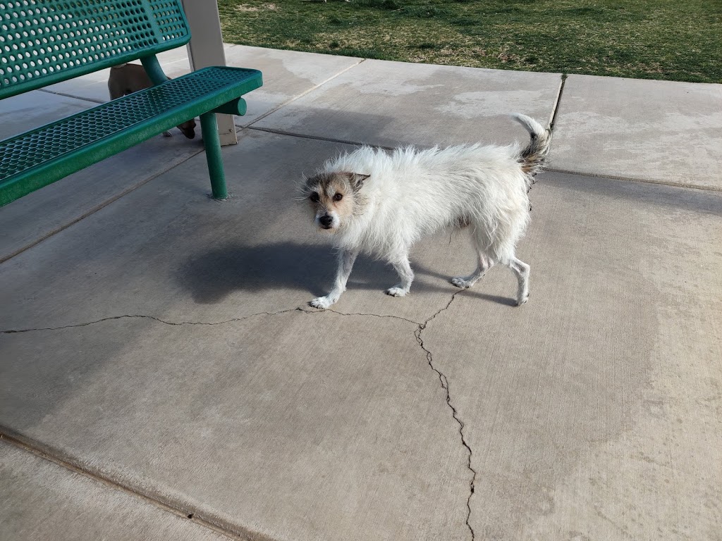 Anamax Dog Park | W Camino Mazatlan, Sahuarita, AZ 85629, USA | Phone: (520) 445-7850