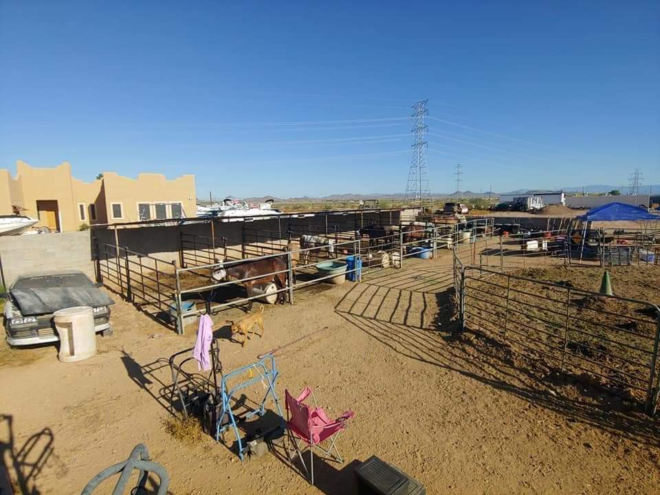 Charlies Farm | 23020 N 107th Ave, Sun City, AZ 85373, USA | Phone: (602) 538-0041