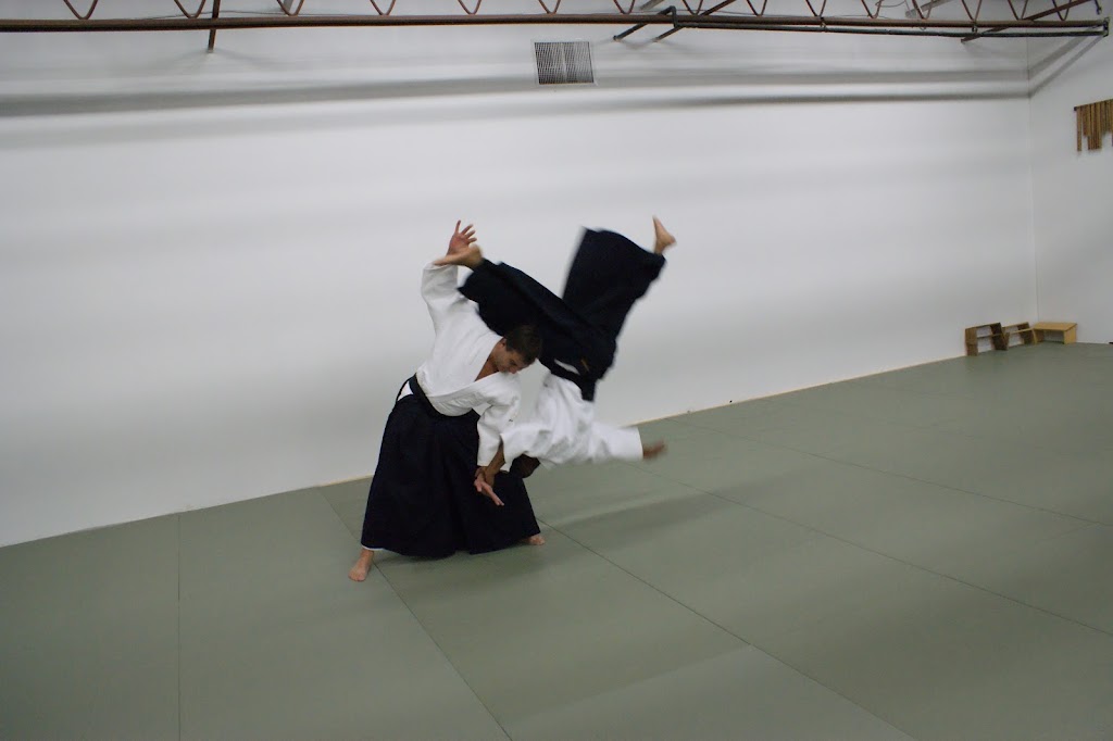 Aikido Seikokan Canada | 1275 Grand Marais Rd W, Windsor, ON N9E 1E1, Canada | Phone: (519) 972-6543