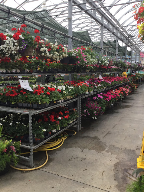 Barries Garden Centre | 375 Bayview Drive, Barrie, Ontario, L4N 8Y2 | Phone: (705) 730-1113