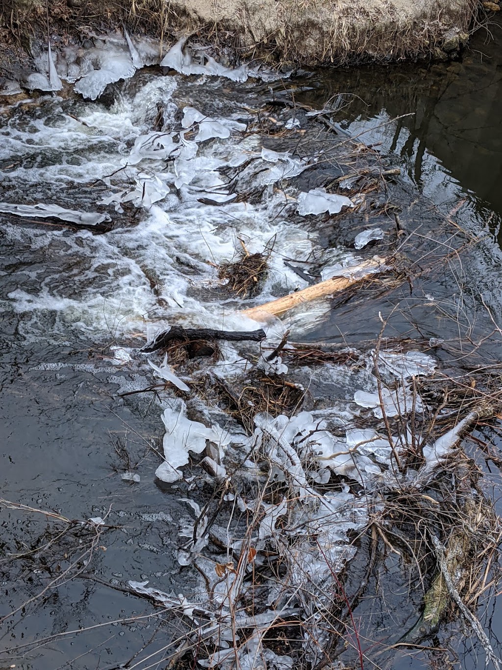 Rice Creek North Regional Trail Access | Shoreview, MN 55126, USA | Phone: (651) 266-8500