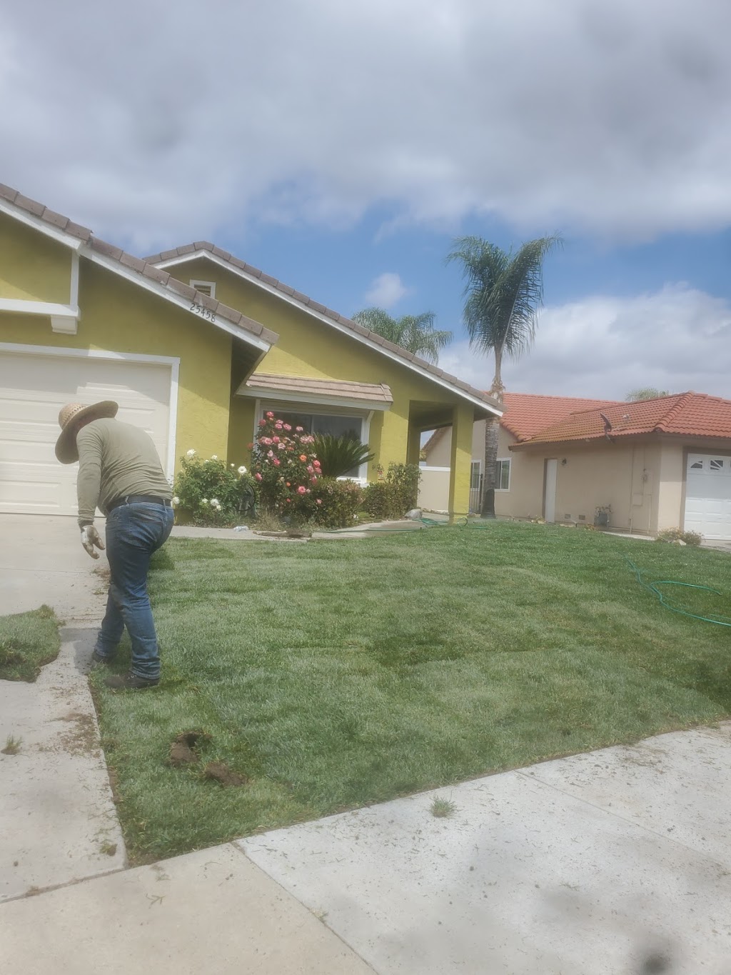 Franco Tree Service | 4620 High St, Riverside, CA 92507, USA | Phone: (951) 213-9928