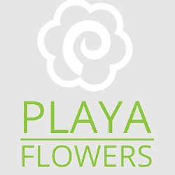 Playa Del Rey Florist | 307 Culver Blvd, Playa Del Rey, CA 90293, United States | Phone: (310) 821-0984