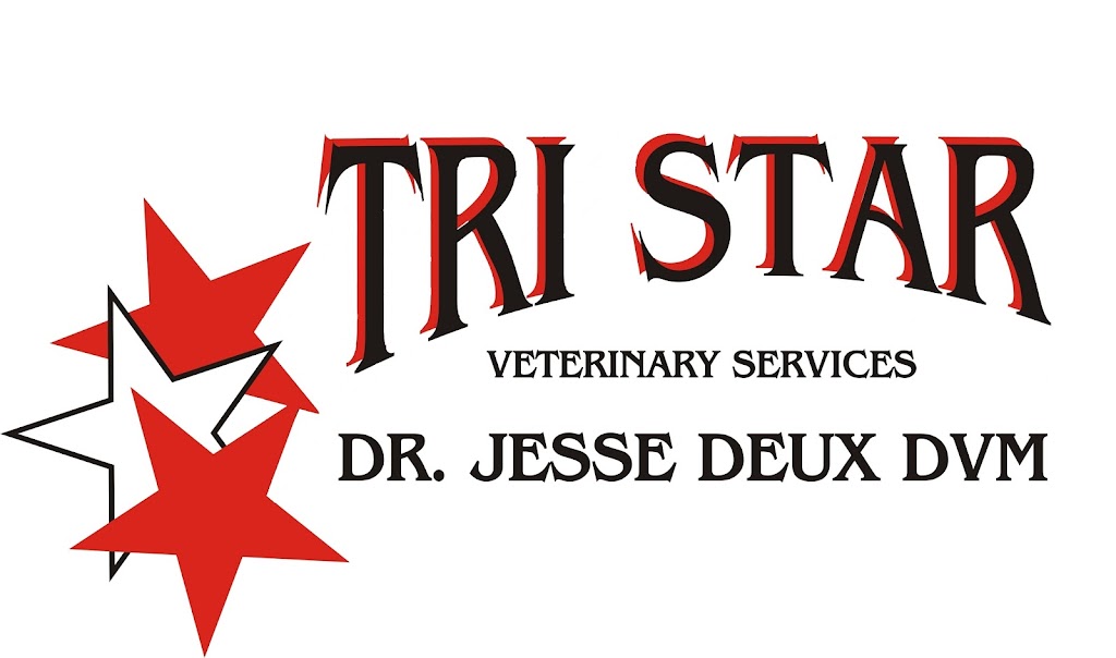 Tri Star Equine Veterinary Services | 24860 N Tully Rd, Acampo, CA 95220, USA | Phone: (209) 367-1160