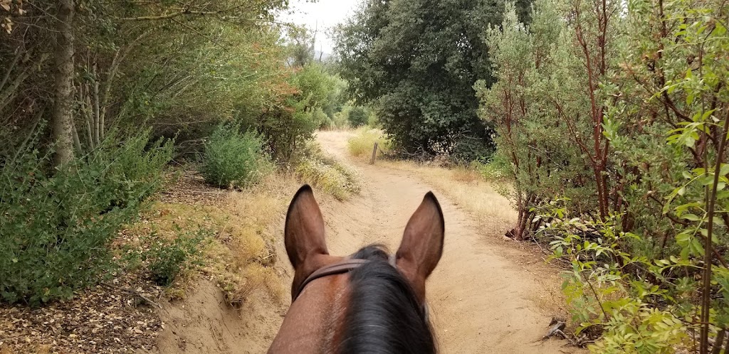 Green Valley Horse Camp | 11390 CA-79, Descanso, CA 91916, USA | Phone: (800) 444-7275