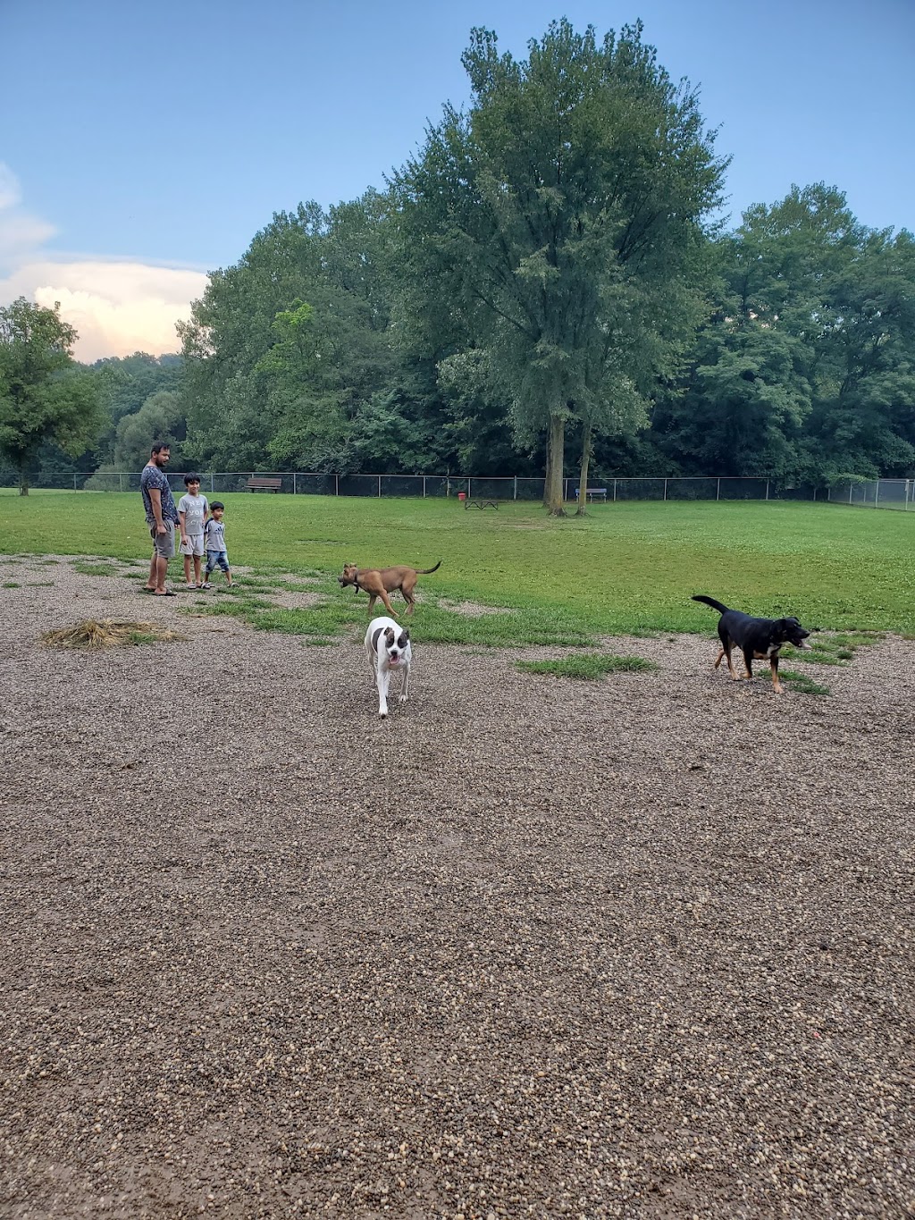 BARC - Akron Dog Park | 499 Memorial Pkwy, Akron, OH 44310, USA | Phone: (330) 510-1364