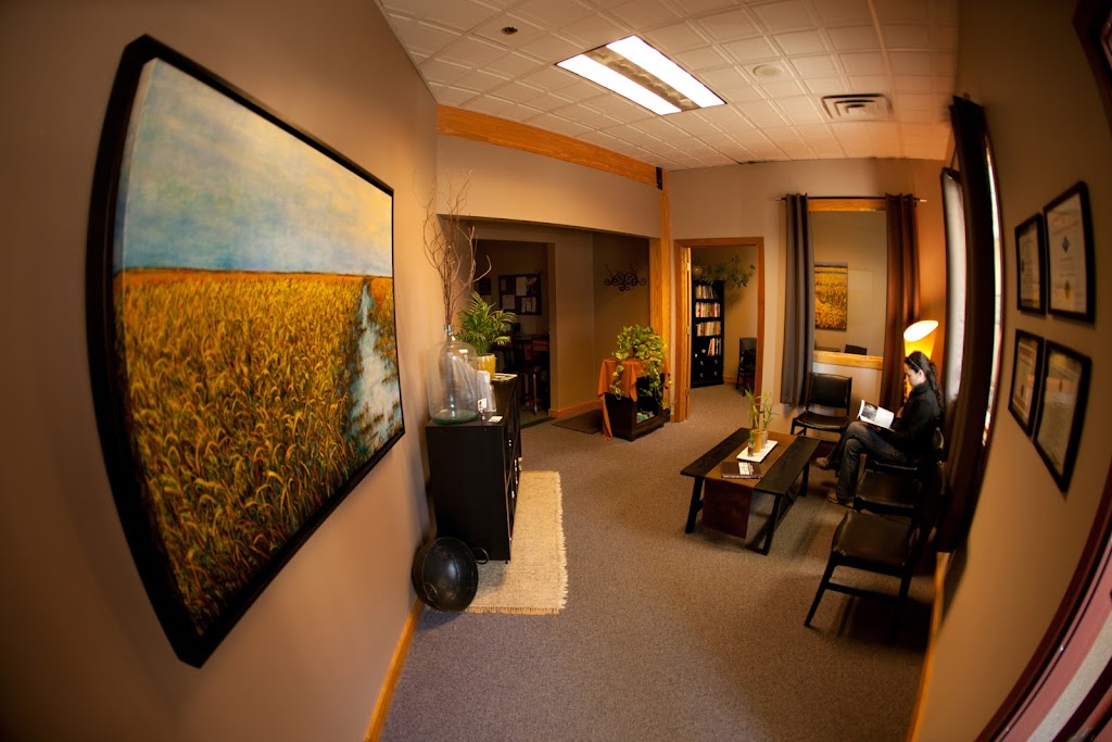 St. Croix Acupuncture | 450 Main St N, Stillwater, MN 55082, USA | Phone: (651) 983-3326