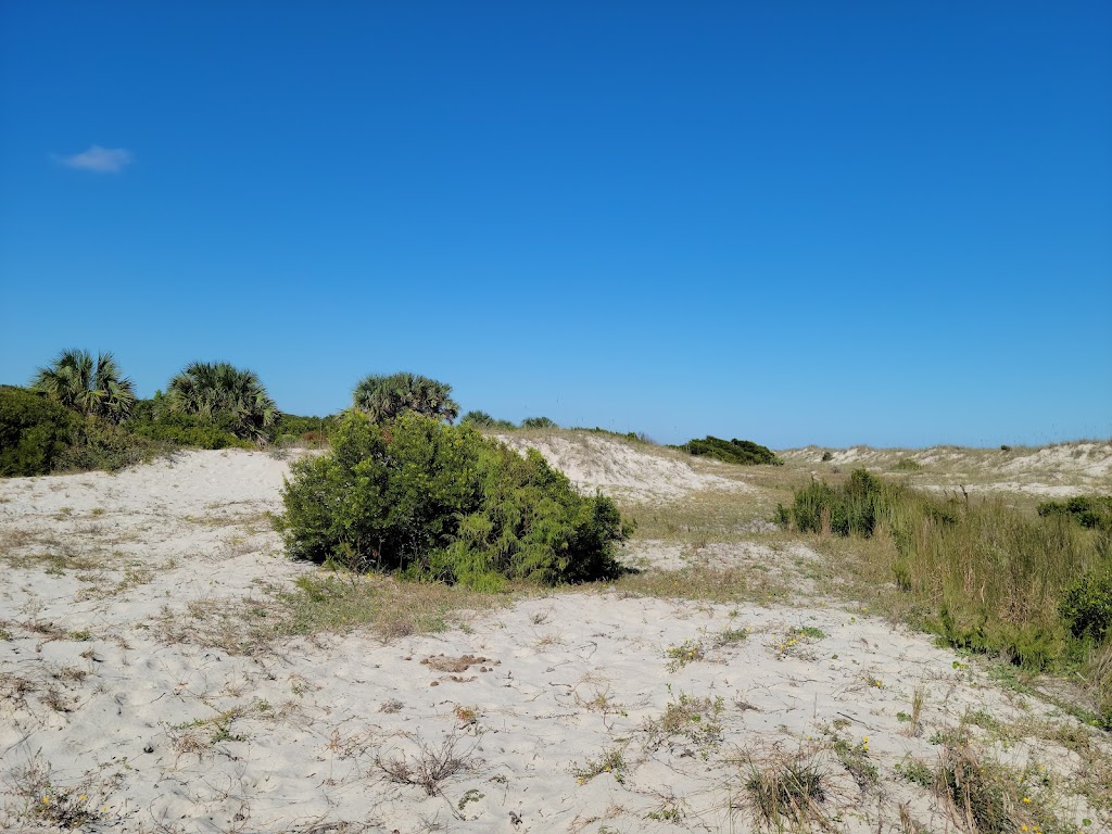 Stafford Beach Campground | Cumberland Island, St Marys, GA 31558, USA | Phone: (218) 820-0362