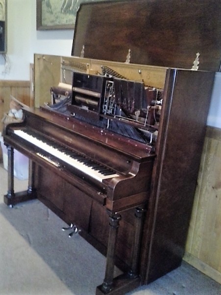 DavidS Piano Services | 1621 Koontz Ln, Carson City, NV 89701, USA | Phone: (775) 882-8233