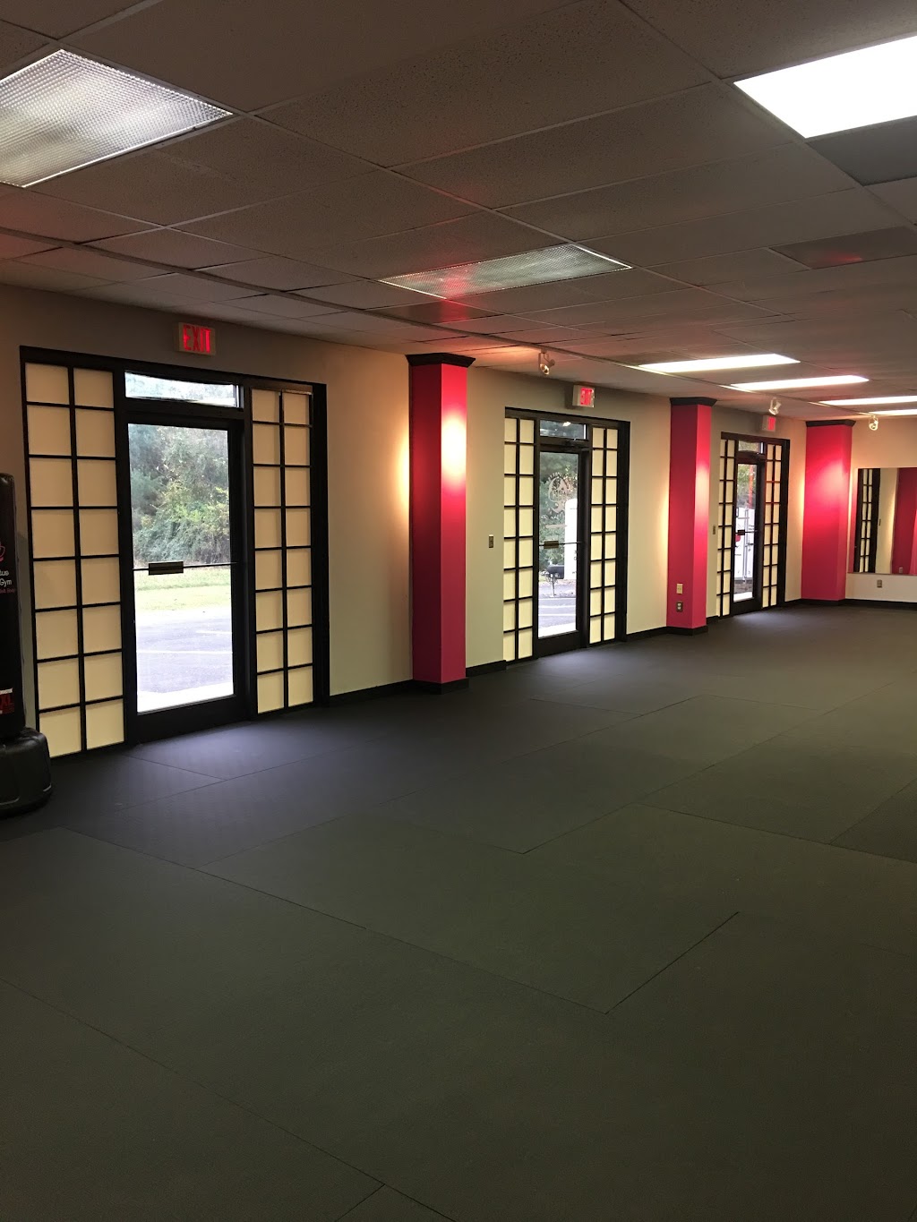 Iron Lotus Gym | 323 Hancock St, Gallatin, TN 37066, USA | Phone: (877) 447-3785