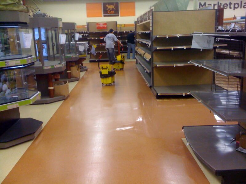 All Bright Services | 234 5th Ave #310, New York, NY 10001, USA | Phone: (212) 744-8696