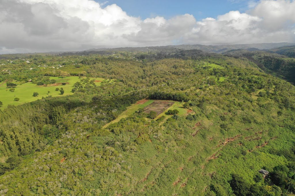 Puu O Mahuka Heiau State Historic Site | 59-818 Kamehameha Hwy #96712, Haleiwa, HI 96712, USA | Phone: (808) 587-0300