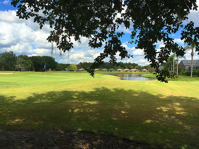 Crescent Oaks Golf Club | 3300 Crescent Oaks Blvd, Tarpon Springs, FL 34688, USA | Phone: (727) 937-4653