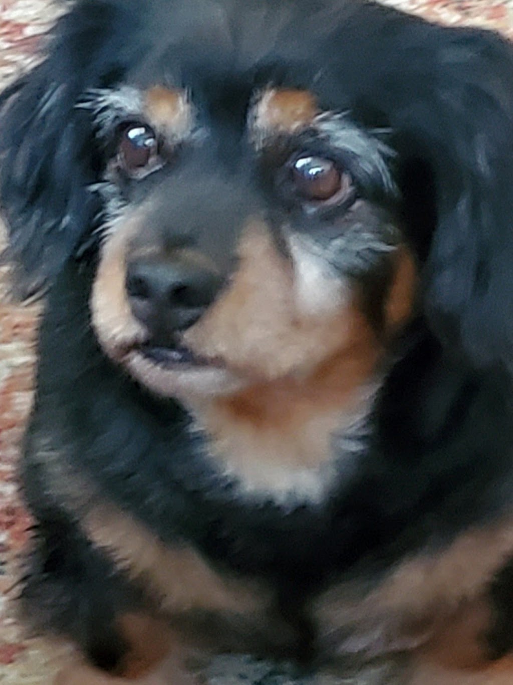 Grand Avenue Dental | 734 N Grand Ave, Gainesville, TX 76240, USA | Phone: (940) 668-9000