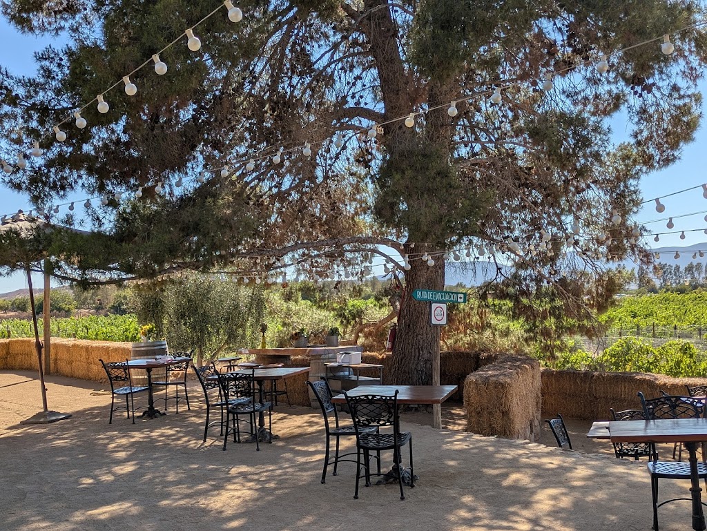 Deckmans | Carretera Ensenada-Tecate Km. 85.5 San Antonio de Las Minas, 22753 Francisco Zarco, B.C., Mexico | Phone: (619) 721-4820