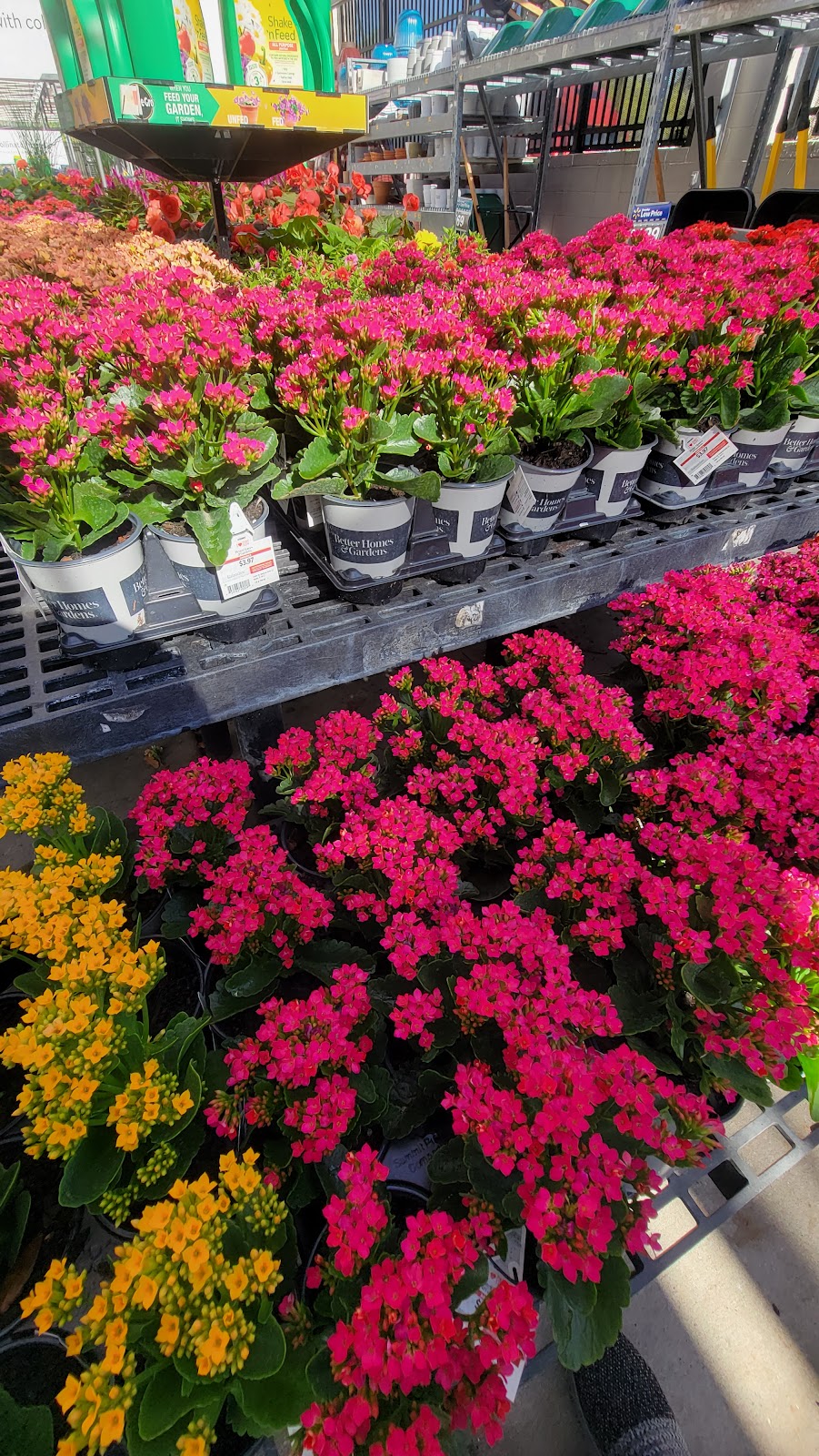 Walmart Garden Center | 1485 Commercial Way, Spring Hill, FL 34606, USA | Phone: (352) 686-0744